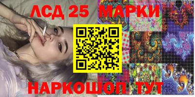 меф Гатчина