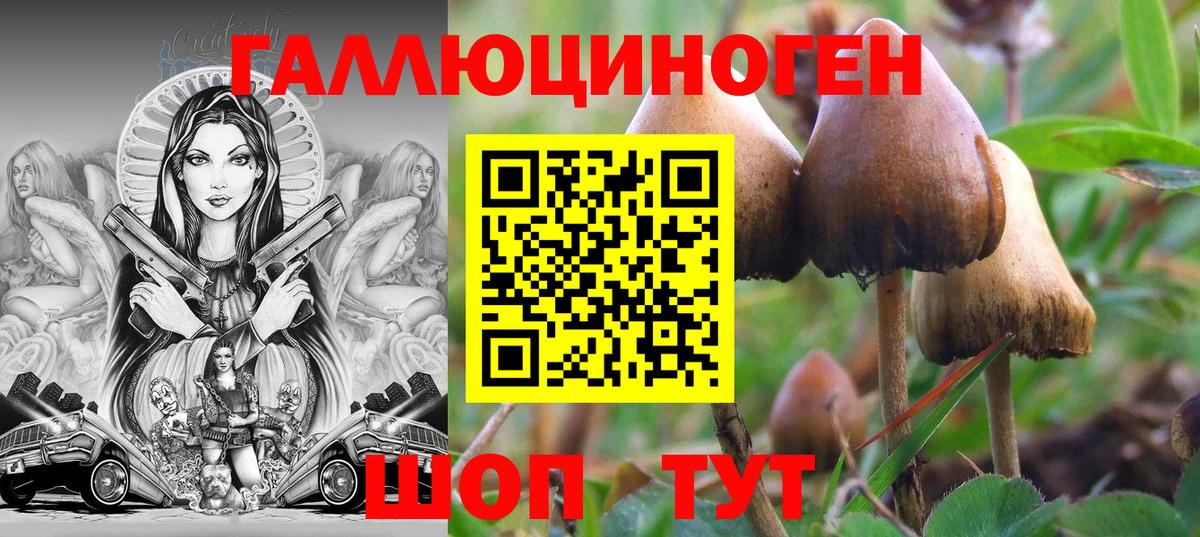 Галлюциногенные грибы Psilocybine cubensis  Псилоцибиновые грибы Magic Shrooms  Вход с VPN  магазин    Кашира 